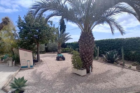 Villa i Elche, Alicante, Elche - € 530.000 | Ref: 1RE1226 - foto 9