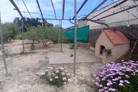 Villa i Elche, Alicante, Elche - € 530.000 | Ref: 1RE1226 - foto 41