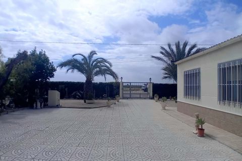 Villa i Elche, Alicante, Elche - € 530.000 | Ref: 1RE1226 - foto 42