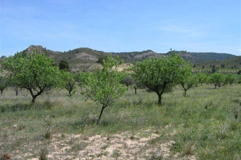 Helårsgrund i Calasparra, Murcia, Calasparra - € 40.000 | Ref: AG19MLSC934198 - foto 5