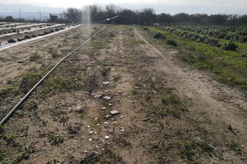 Landejendom i Beniganim, Valencia, Beniganim - € 69.000 | Ref: PNVL0055 - foto 8