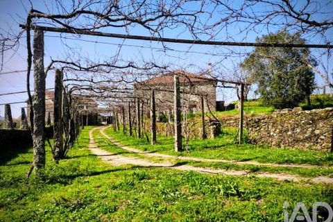 Farm i Caminha, Viana do Castelo, Caminha - € 850.000 | Ref: 840794 - foto 3