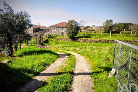 Farm i Caminha, Viana do Castelo, Caminha - € 850.000 | Ref: 840794 - foto 7