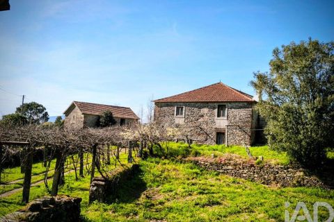 Farm i Caminha, Viana do Castelo, Caminha - € 850.000 | Ref: 840794 - foto 8