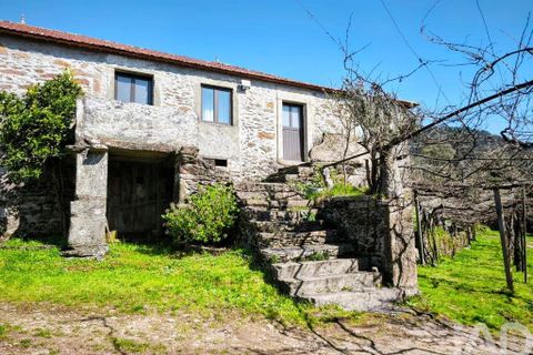 Farm i Caminha, Viana do Castelo, Caminha - € 850.000 | Ref: 840794 - foto 1