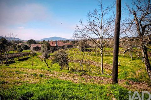 Farm i Caminha, Viana do Castelo, Caminha - € 850.000 | Ref: 840794 - foto 9