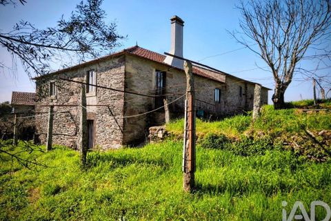 Farm i Caminha, Viana do Castelo, Caminha - € 850.000 | Ref: 840794 - foto 10