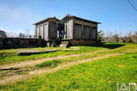 Farm i Caminha, Viana do Castelo, Caminha - € 850.000 | Ref: 840794 - foto 12