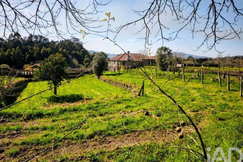 Farm i Caminha, Viana do Castelo, Caminha - € 850.000 | Ref: 840794 - foto 13