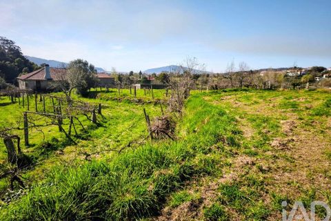 Farm i Caminha, Viana do Castelo, Caminha - € 850.000 | Ref: 840794 - foto 14