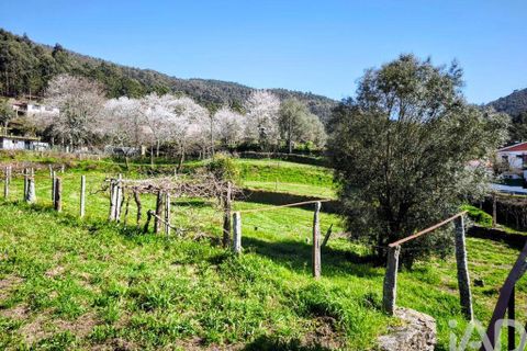 Farm i Caminha, Viana do Castelo, Caminha - € 850.000 | Ref: 840794 - foto 15