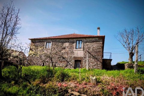 Farm i Caminha, Viana do Castelo, Caminha - € 850.000 | Ref: 840794 - foto 16