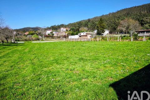 Farm i Caminha, Viana do Castelo, Caminha - € 850.000 | Ref: 840794 - foto 18