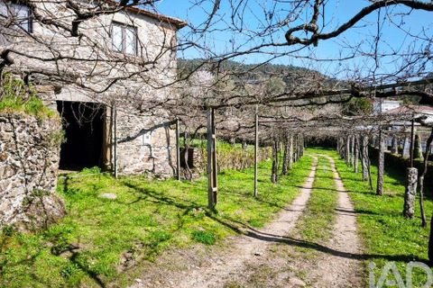 Farm i Caminha, Viana do Castelo, Caminha - € 850.000 | Ref: 840794 - foto 19