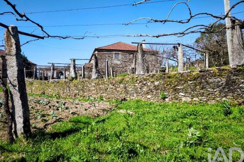 Farm i Caminha, Viana do Castelo, Caminha - € 850.000 | Ref: 840794 - foto 35