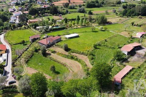 Farm i Caminha, Viana do Castelo, Caminha - € 850.000 | Ref: 840794 - foto 2
