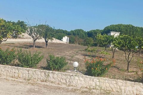 Farm i Coruche, Santarem, Coruche - € 780.000 | Ref: 858887 - foto 16