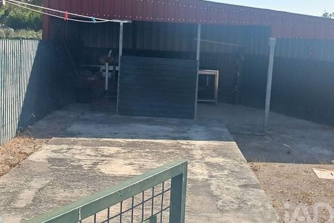 Farm i Coruche, Santarem, Coruche - € 780.000 | Ref: 858887 - foto 19