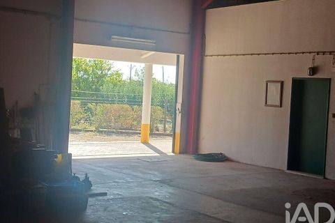 Farm i Coruche, Santarem, Coruche - € 780.000 | Ref: 858887 - foto 21