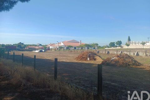 Farm i Coruche, Santarem, Coruche - € 780.000 | Ref: 858887 - foto 26