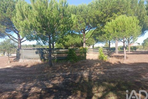 Farm i Coruche, Santarem, Coruche - € 780.000 | Ref: 858887 - foto 27