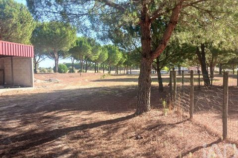 Farm i Coruche, Santarem, Coruche - € 780.000 | Ref: 858887 - foto 29