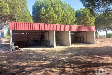 Farm i Coruche, Santarem, Coruche - € 780.000 | Ref: 858887 - foto 30