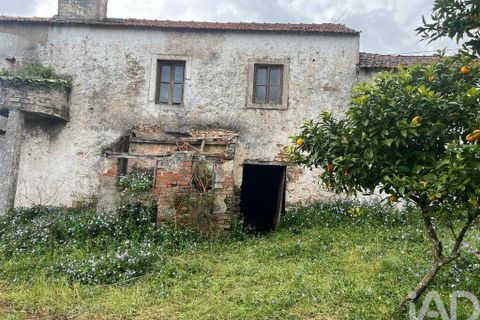 Byhus i Alvaiazere, Leiria, Alvaiazere - € 69.000 | Ref: 775904 - foto 5