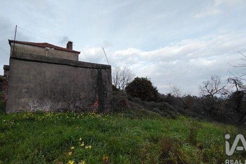 Byhus i Alvaiazere, Leiria, Alvaiazere - € 69.000 | Ref: 775904 - foto 11