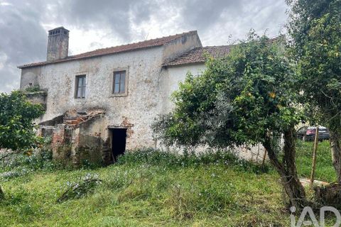 Byhus i Alvaiazere, Leiria, Alvaiazere - € 69.000 | Ref: 775904 - foto 21