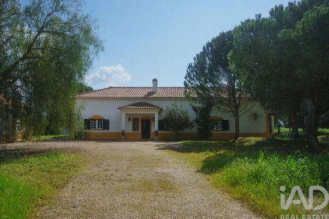 Byhus i Coruche, Santarem, Coruche - € 660.000 | Ref: 842907 - foto 6