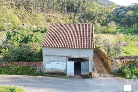 Terra a Penela, Coimbra, Penela - € 80.000 | Ref: 857754 - foto 2