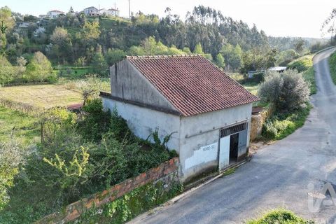 Terra a Penela, Coimbra, Penela - € 80.000 | Ref: 857754 - foto 3
