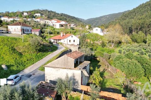 Terra a Penela, Coimbra, Penela - € 80.000 | Ref: 857754 - foto 4