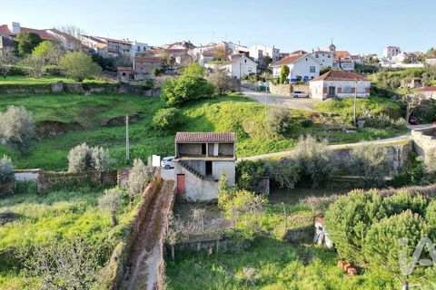Terra a Penela, Coimbra, Penela - € 80.000 | Ref: 857754 - foto 5
