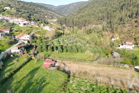 Terra a Penela, Coimbra, Penela - € 80.000 | Ref: 857754 - foto 7
