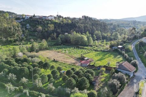 Terra a Penela, Coimbra, Penela - € 80.000 | Ref: 857754 - foto 8