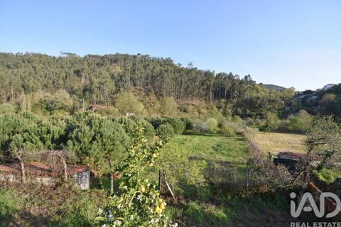 Terra a Penela, Coimbra, Penela - € 80.000 | Ref: 857754 - foto 12