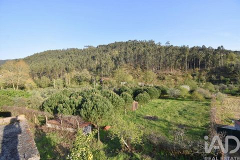 Terra a Penela, Coimbra, Penela - € 80.000 | Ref: 857754 - foto 13