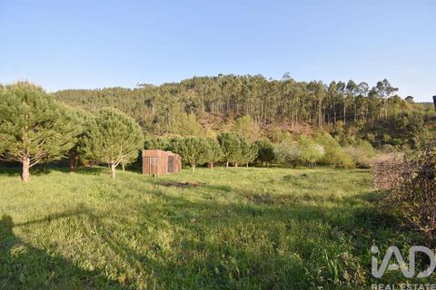 Terra a Penela, Coimbra, Penela - € 80.000 | Ref: 857754 - foto 15