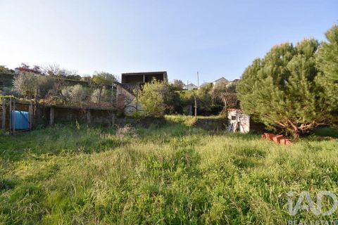 Terra a Penela, Coimbra, Penela - € 80.000 | Ref: 857754 - foto 16
