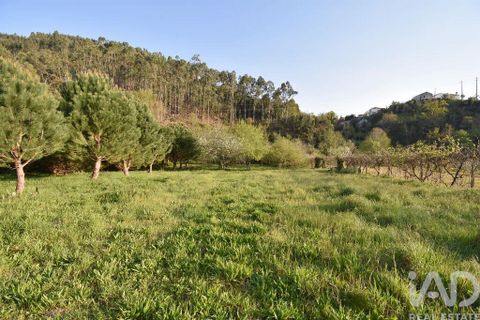 Terra a Penela, Coimbra, Penela - € 80.000 | Ref: 857754 - foto 17