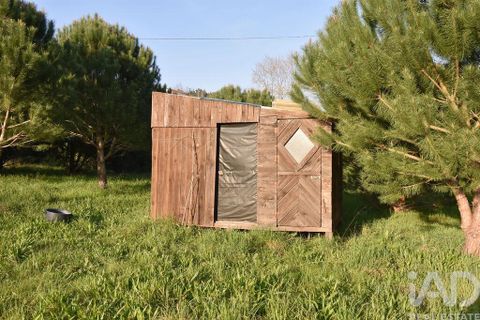 Terra a Penela, Coimbra, Penela - € 80.000 | Ref: 857754 - foto 18