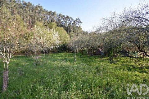 Terra a Penela, Coimbra, Penela - € 80.000 | Ref: 857754 - foto 19