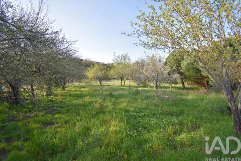 Terra a Penela, Coimbra, Penela - € 80.000 | Ref: 857754 - foto 20
