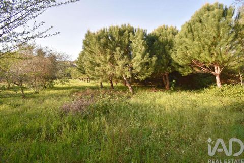 Terra a Penela, Coimbra, Penela - € 80.000 | Ref: 857754 - foto 22