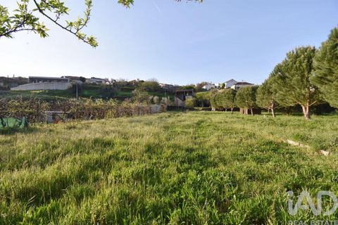 Terra a Penela, Coimbra, Penela - € 80.000 | Ref: 857754 - foto 23