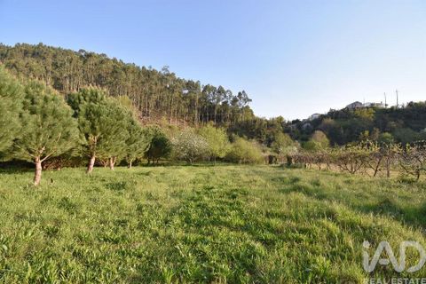 Terra a Penela, Coimbra, Penela - € 80.000 | Ref: 857754 - foto 24