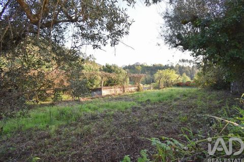 Terra a Penela, Coimbra, Penela - € 80.000 | Ref: 857754 - foto 25