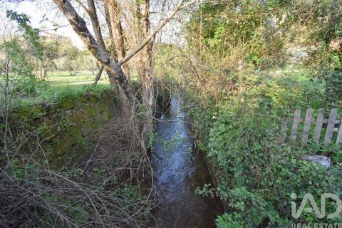 Terra a Penela, Coimbra, Penela - € 80.000 | Ref: 857754 - foto 27
